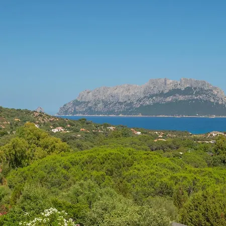 Casa Porto Istana Apartment *